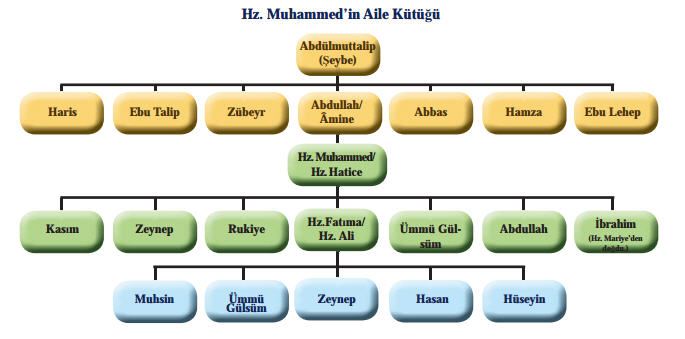 Soy ağacı nedir?