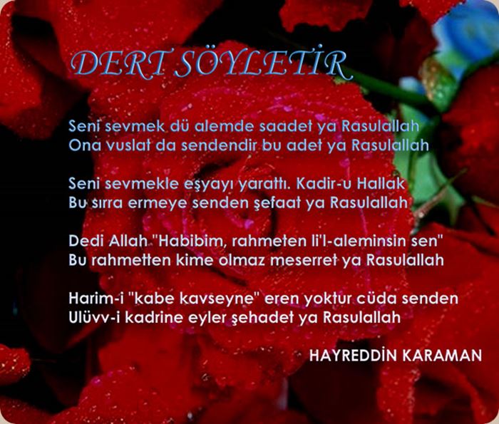 Peygamber efendimiz ile ilgili şiirler kısa