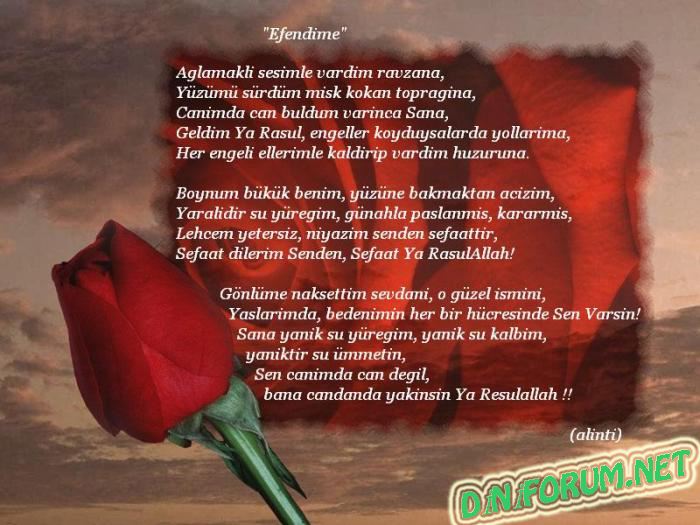 Peygamber efendimiz ile ilgili şiirler kısa