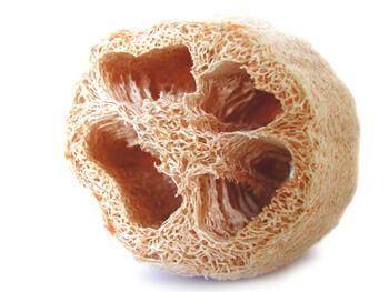 Lif ağacı
