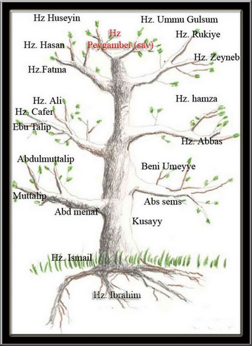 Hz. Muhammedin Aile Büyüklerinin Soy Ağacı