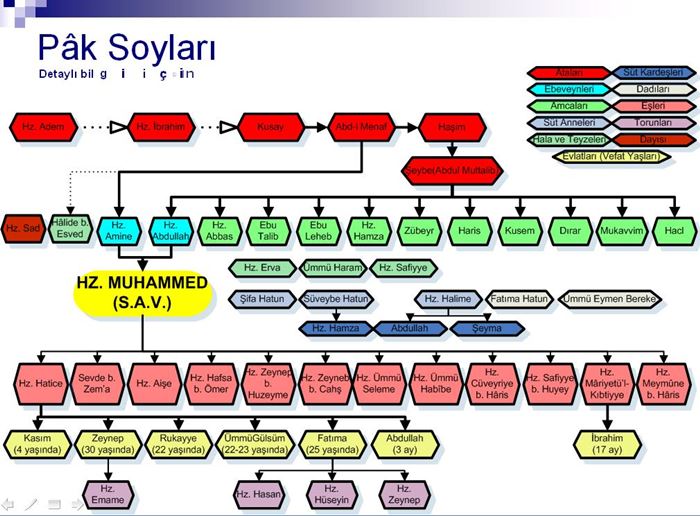 Hz. Muhammedin Aile Büyüklerinin Soy Ağacı