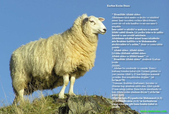 Kurban Kesim Duası