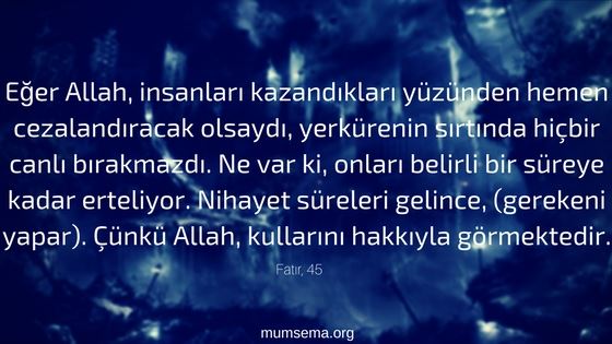 Kötü biri miyim