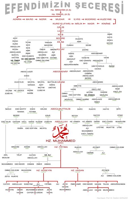 Hz.Muhammed’in (sav) soy ağacı