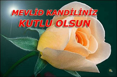 Mevlid kandili resim ve kartlar