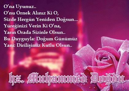 Kutlu doğum haftası ile ilgili fotoğraflar – kartlar