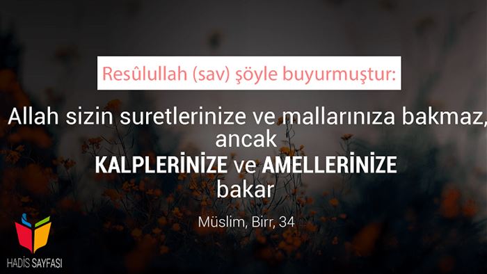 Resimlerle Ayetler, Hadisler, Güzel Sözler..