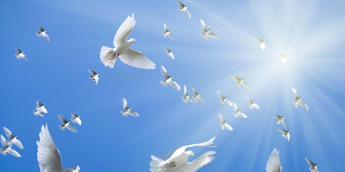 Peygamberlere İman – Son Peygamber Hz. Muhammed (s.a.v)