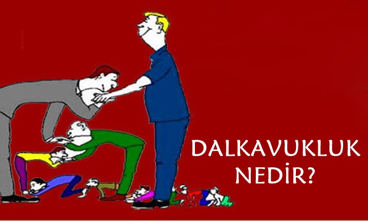 dalkavukluk nedir