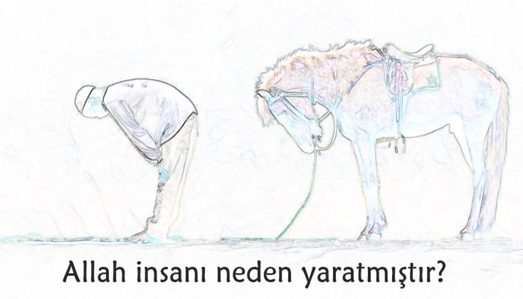 Allah İnsanı Neden Yaratmıştır?