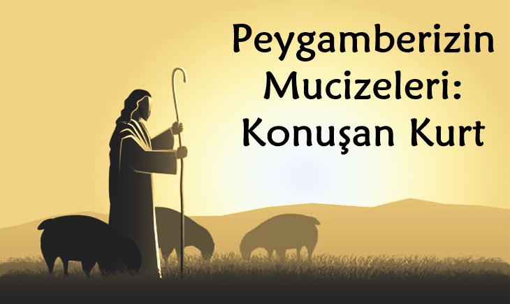 Peygamberizin Mucizeleri: Konuşan Kurt