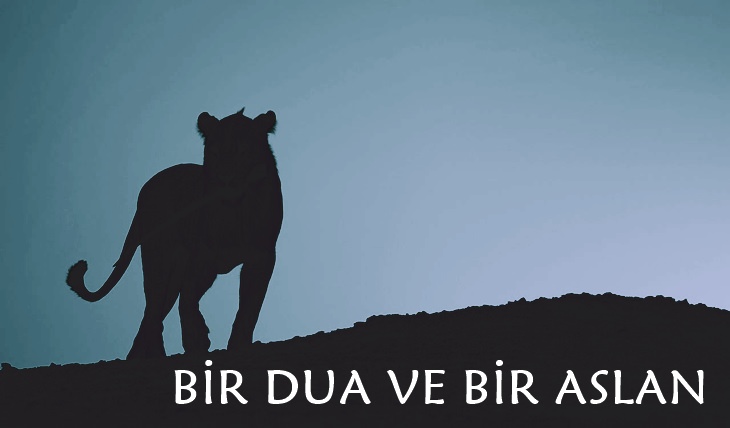 Peygamberimizin Mucizeleri: Utbe Bin Ebu Leheb