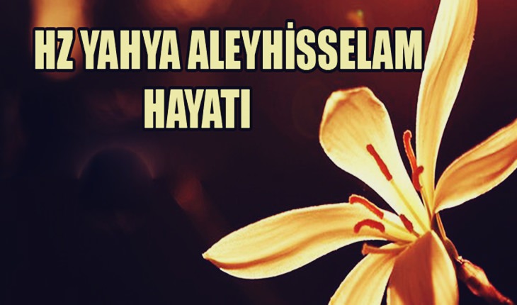 Yahya Peygamber