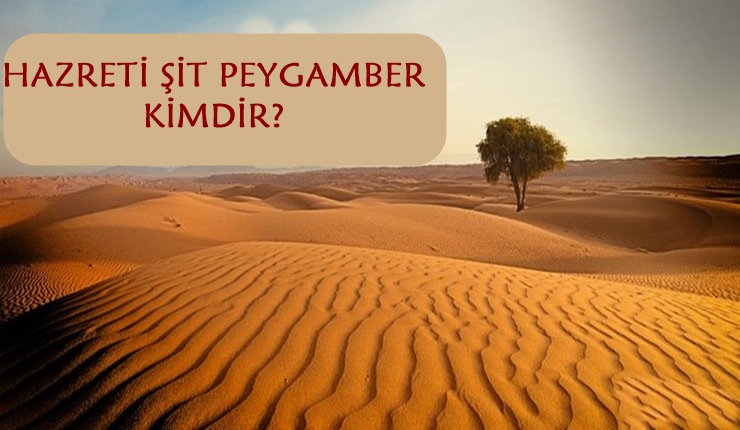 Şit Peygamber Kısaca Kimdir?