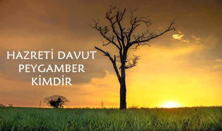 Davut Peygamber Kısaca Kimdir?