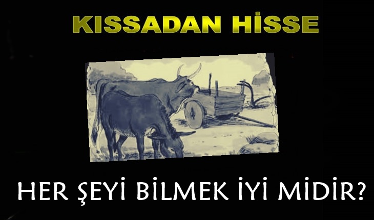 Kıssadan Hisse: Her Şeyi Bilmek İyi midir?