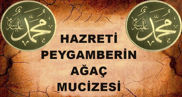 Peygamberimizin Ağaç Mucizesi