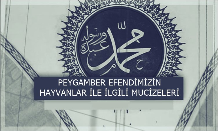 Peygamberimizin Hayvanlar İle İlgili Mucizeleri